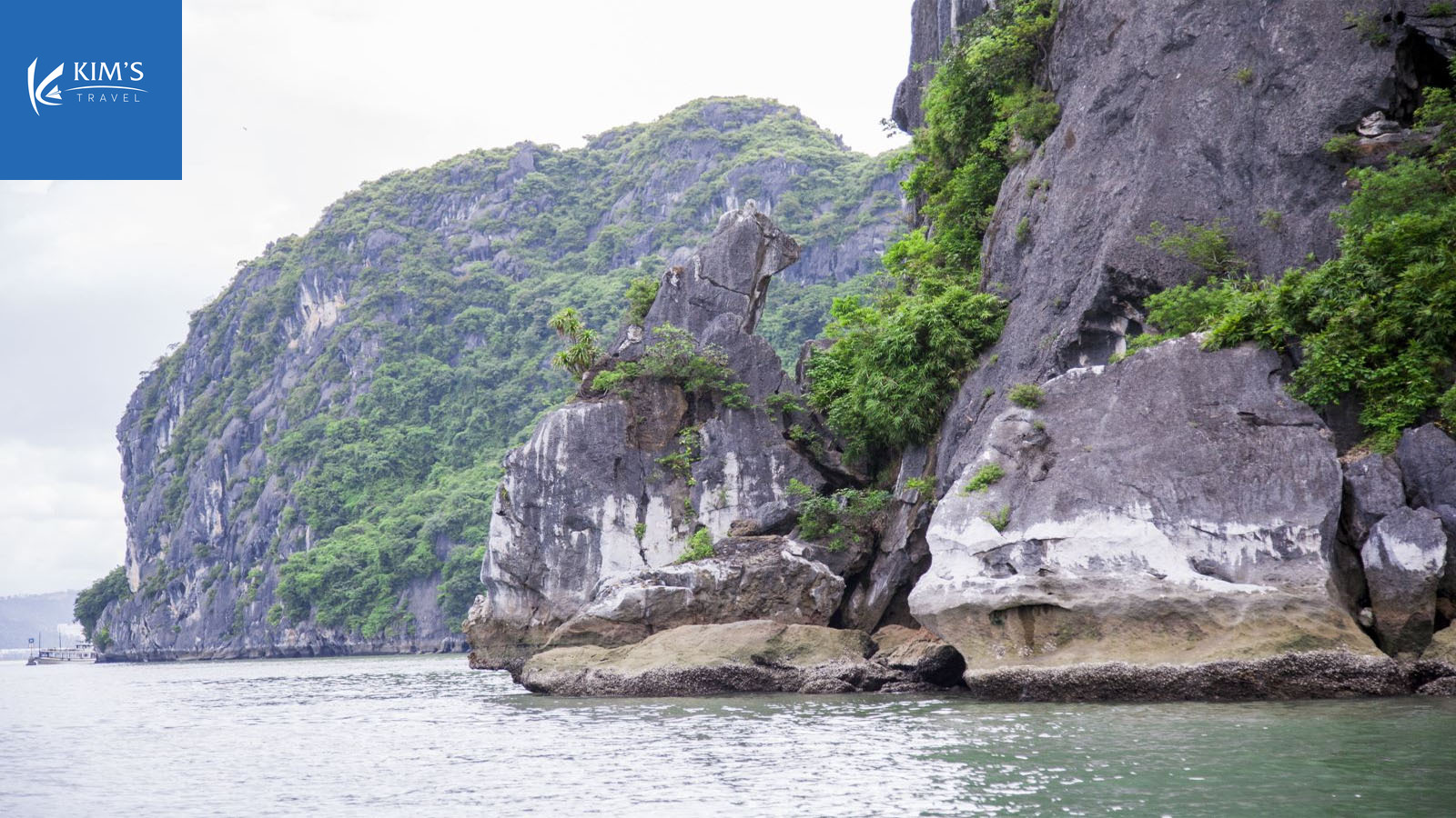 Gioi Thieu Chung Ve Hon Cho Da